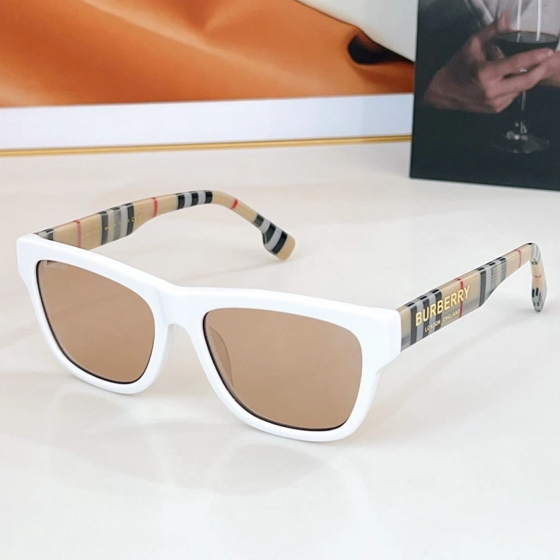 Bxrbxrry Sunglasses ModernLook 250008