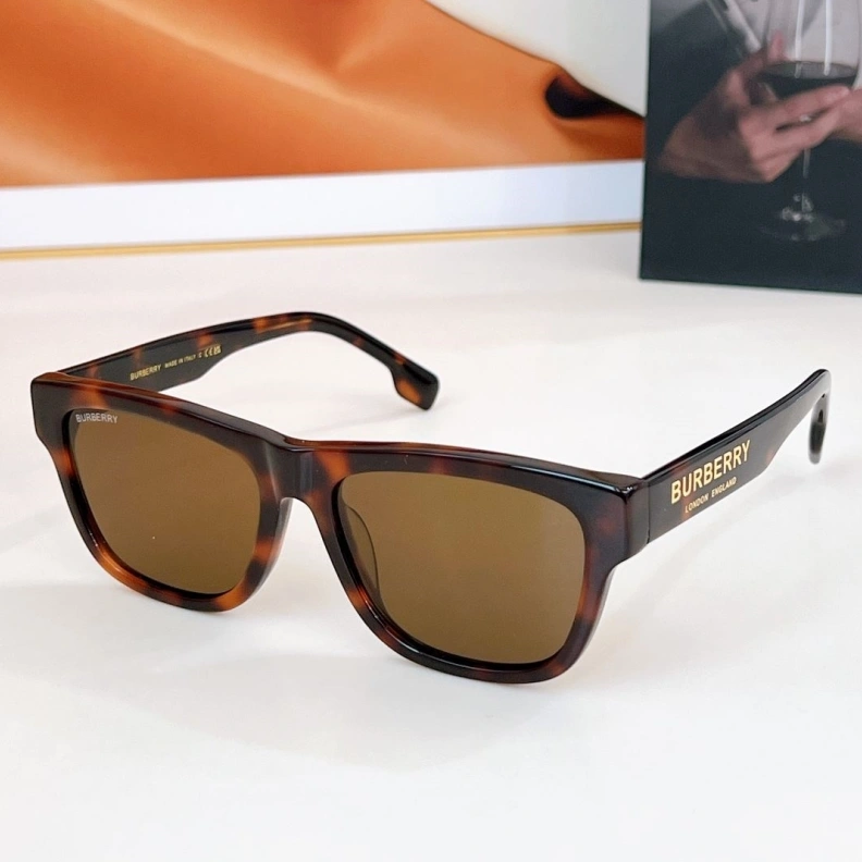 Bxrbxrry Sunglasses ModernLook 250008