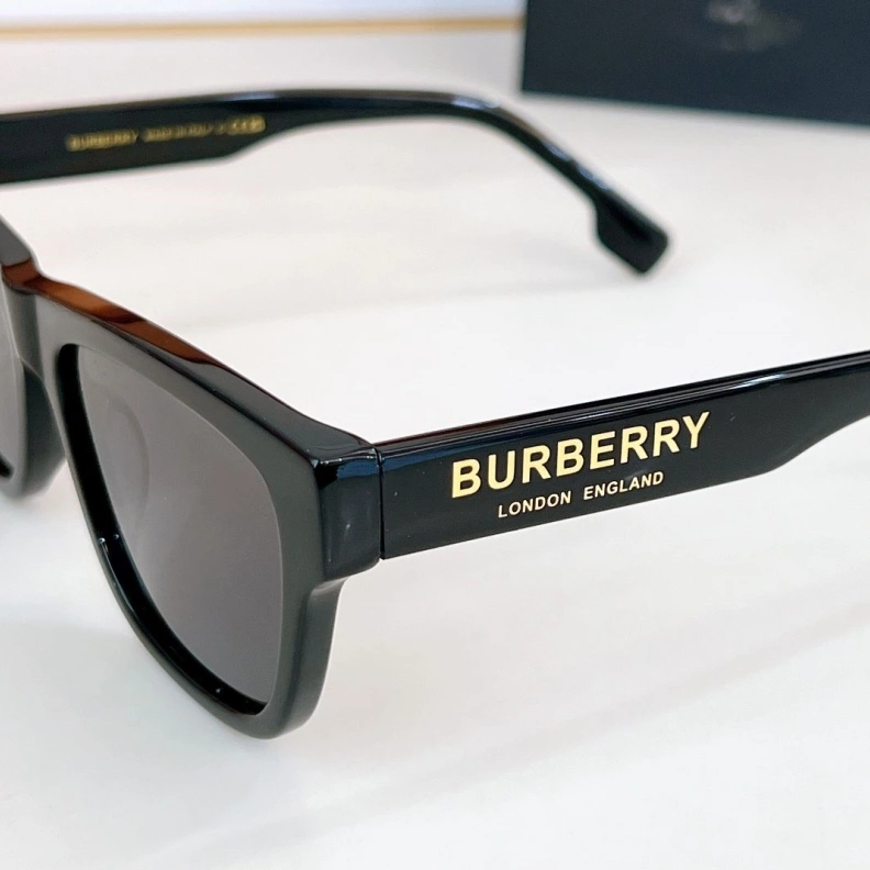 Bxrbxrry Sunglasses ModernLook 250008