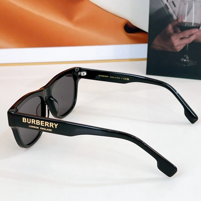 Bxrbxrry Sunglasses ModernLook 250008