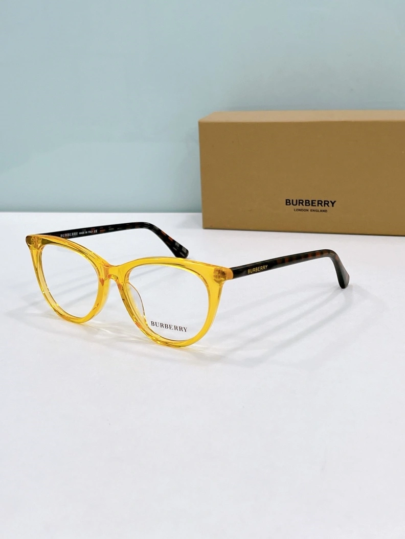 Bxrbxrry Sunglasses Trendy 250011