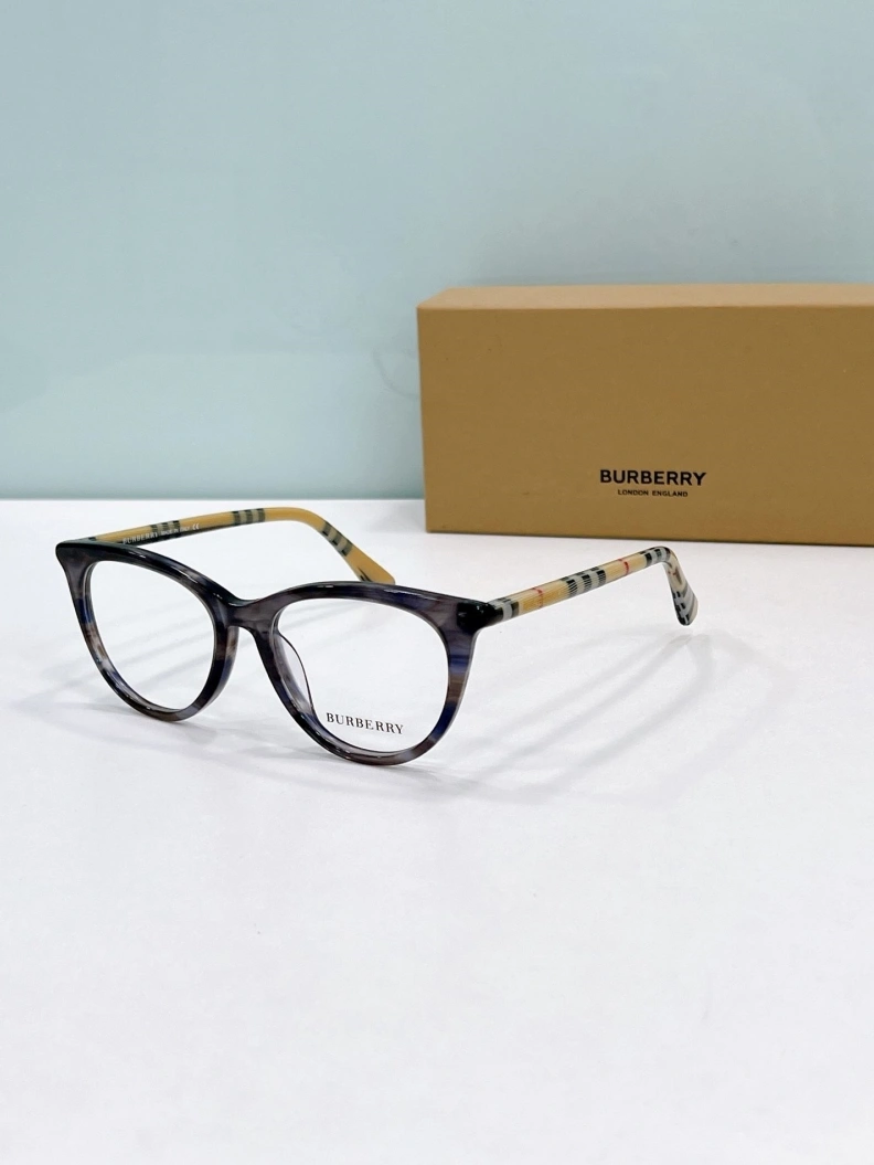 Bxrbxrry Sunglasses Trendy 250011