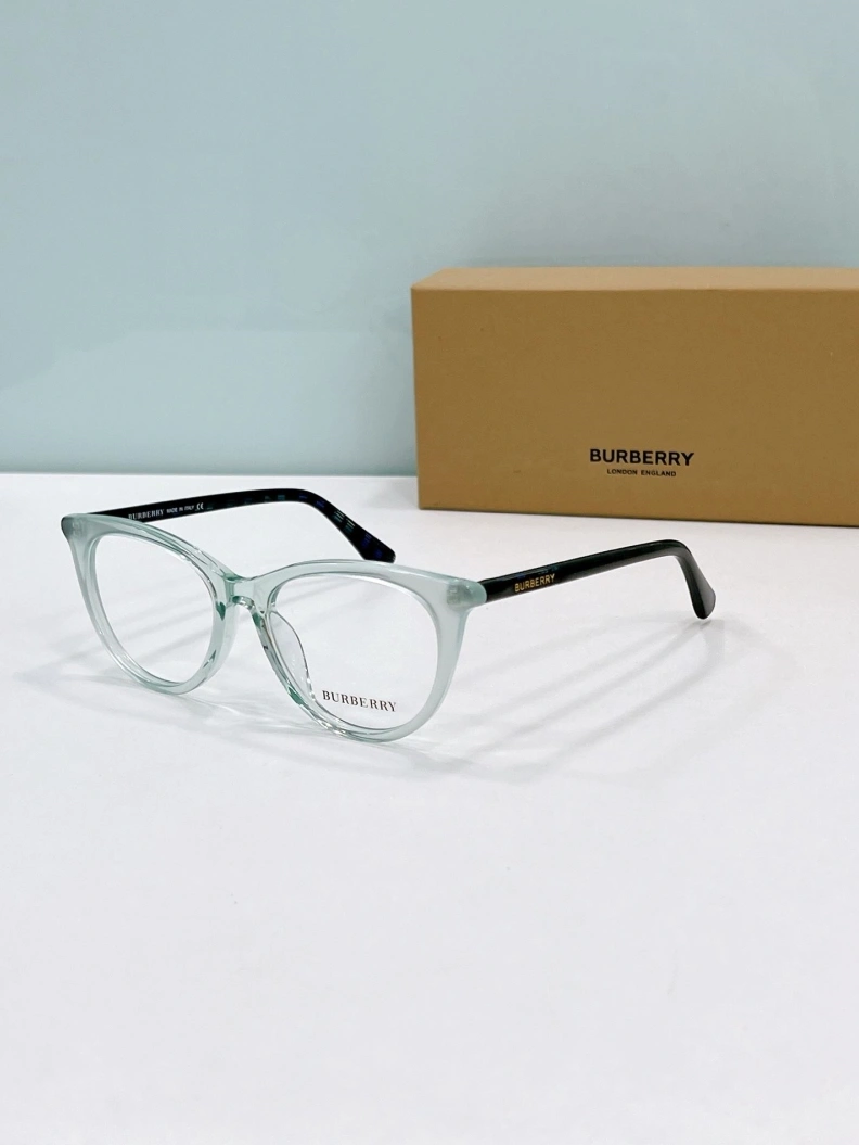 Bxrbxrry Sunglasses Trendy 250011