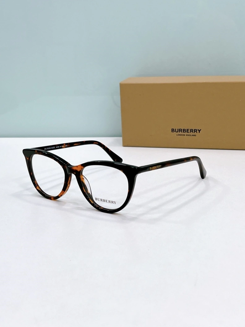 Bxrbxrry Sunglasses Trendy 250011