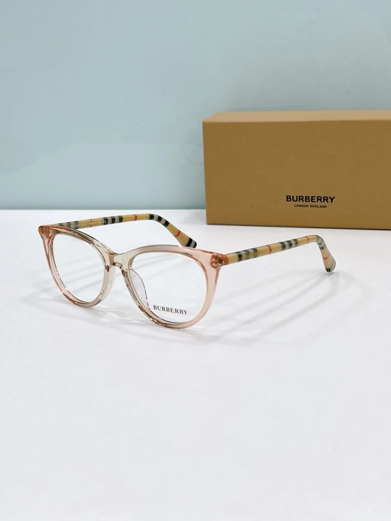 Bxrbxrry Sunglasses Trendy 250011