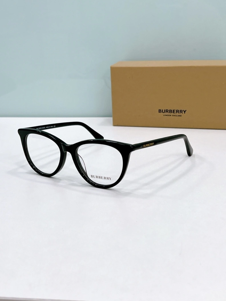 Bxrbxrry Sunglasses Trendy 250011