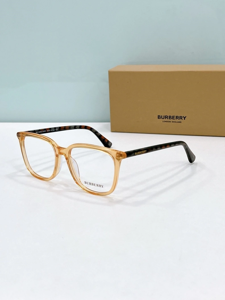 Comfortable Bxrbxrry Sunglasses 250016