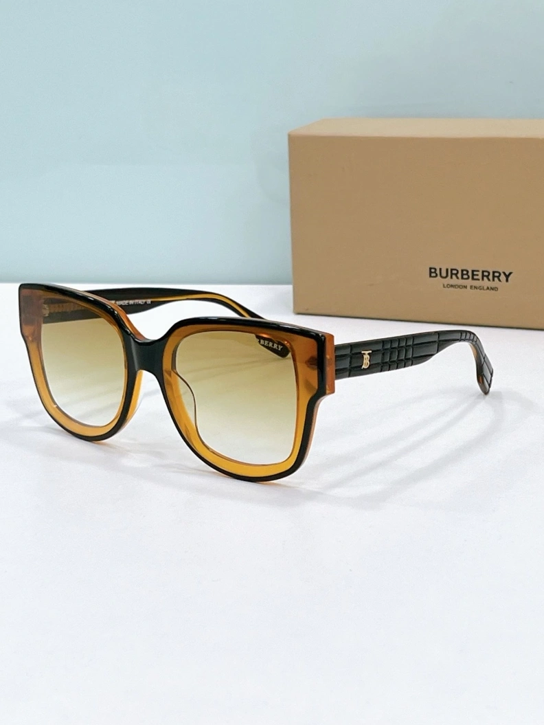 NewStyle Bxrbxrry Sunglasses 250004