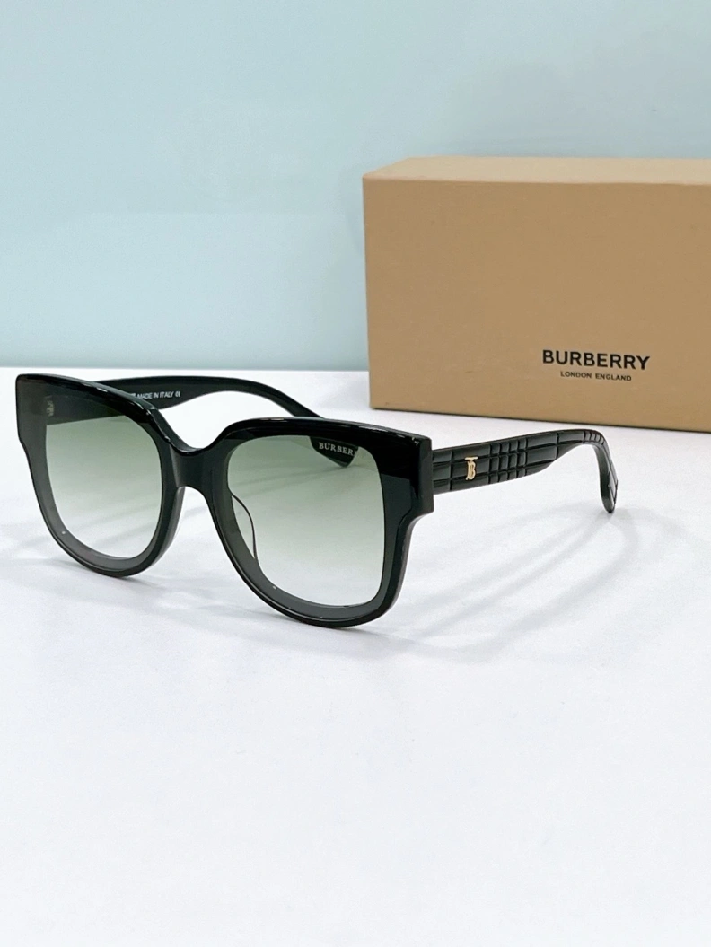 NewStyle Bxrbxrry Sunglasses 250004