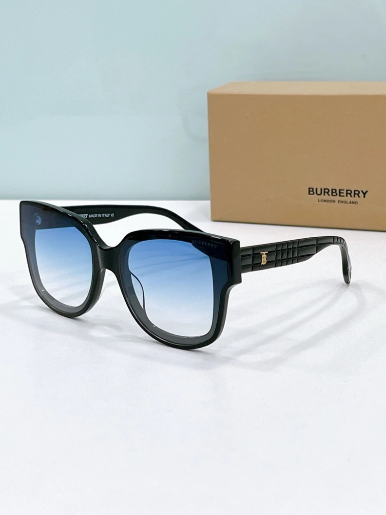 NewStyle Bxrbxrry Sunglasses 250004