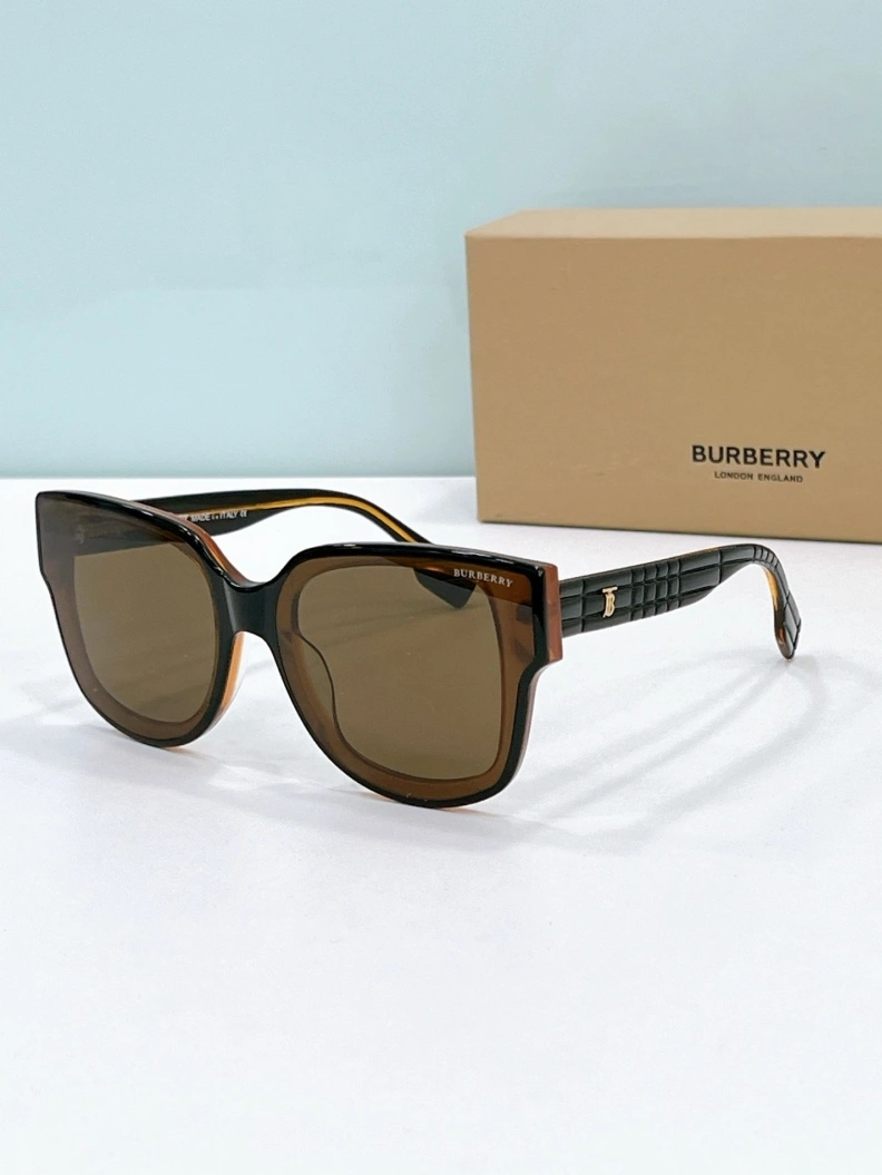 NewStyle Bxrbxrry Sunglasses 250004
