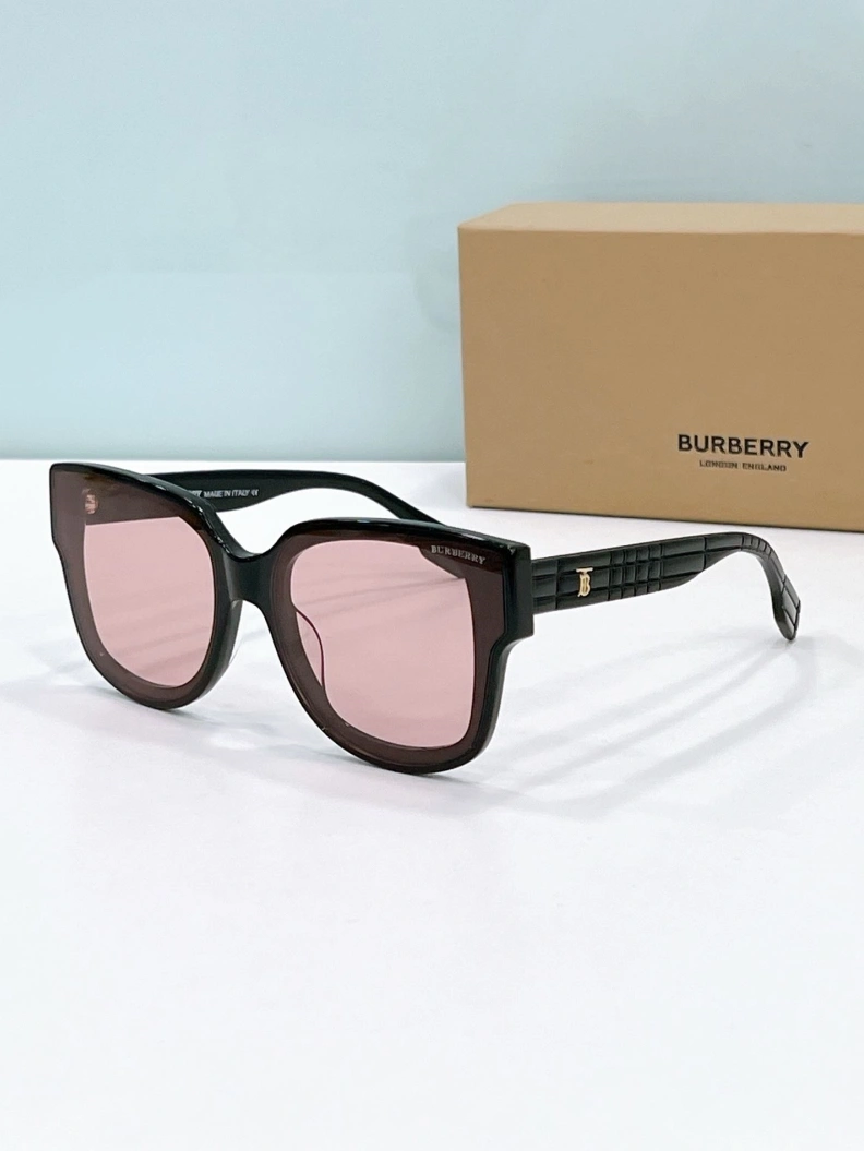 NewStyle Bxrbxrry Sunglasses 250004
