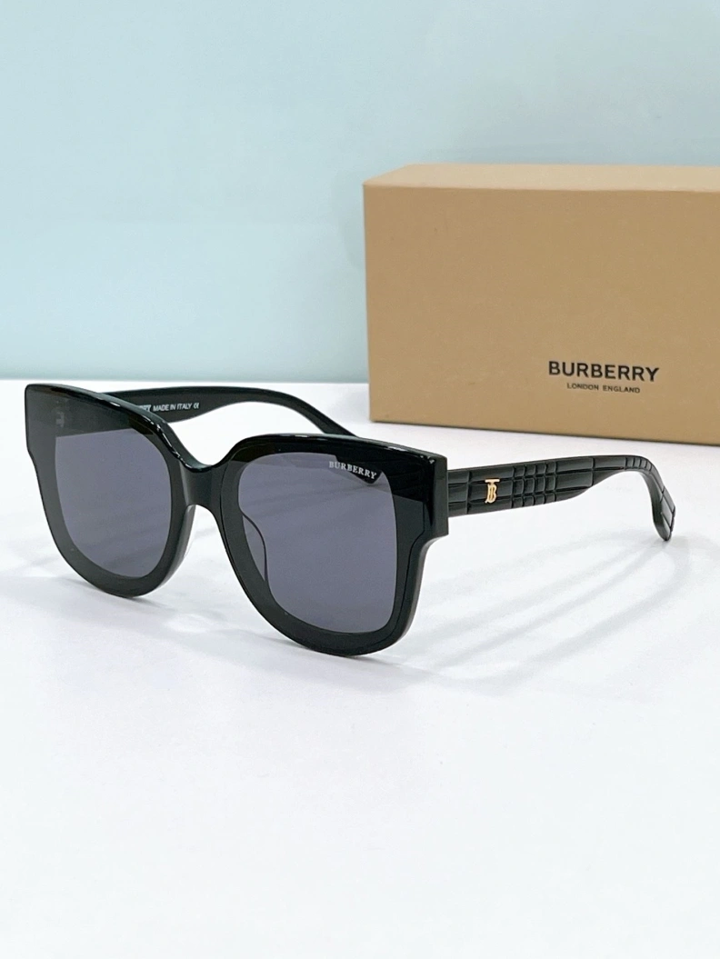 NewStyle Bxrbxrry Sunglasses 250004