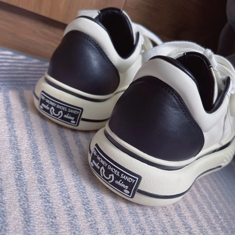 GoAnywhere Gxccx Casual Shoes 161522