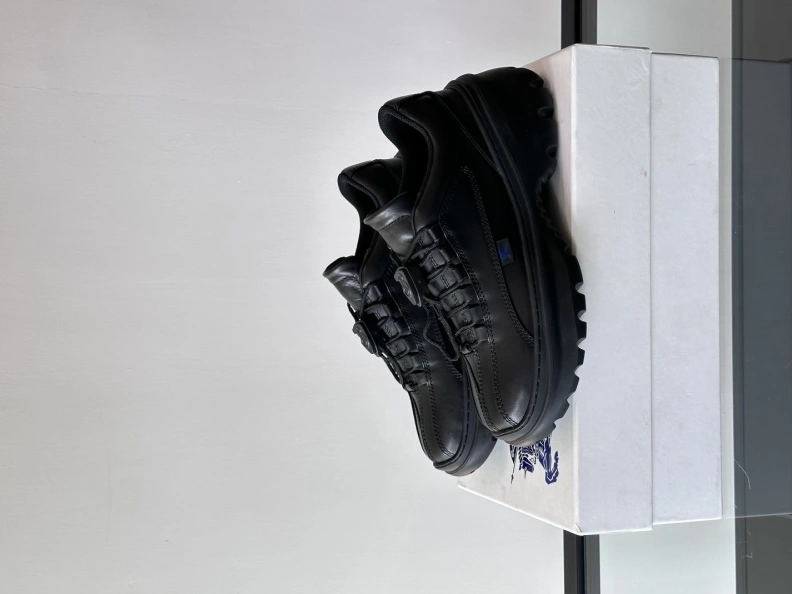 GoAnywhere Bxrbxrry Sneakers 114527