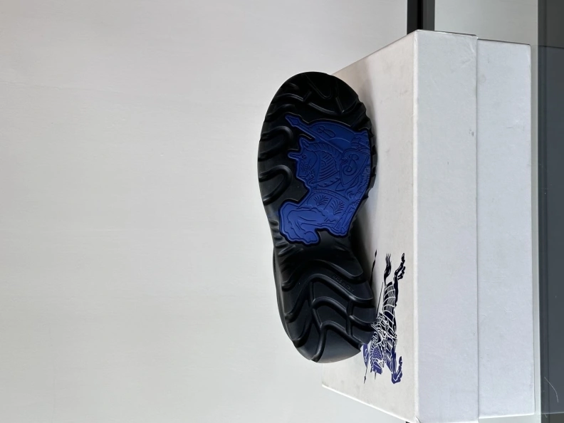 GoAnywhere Bxrbxrry Sneakers 114527