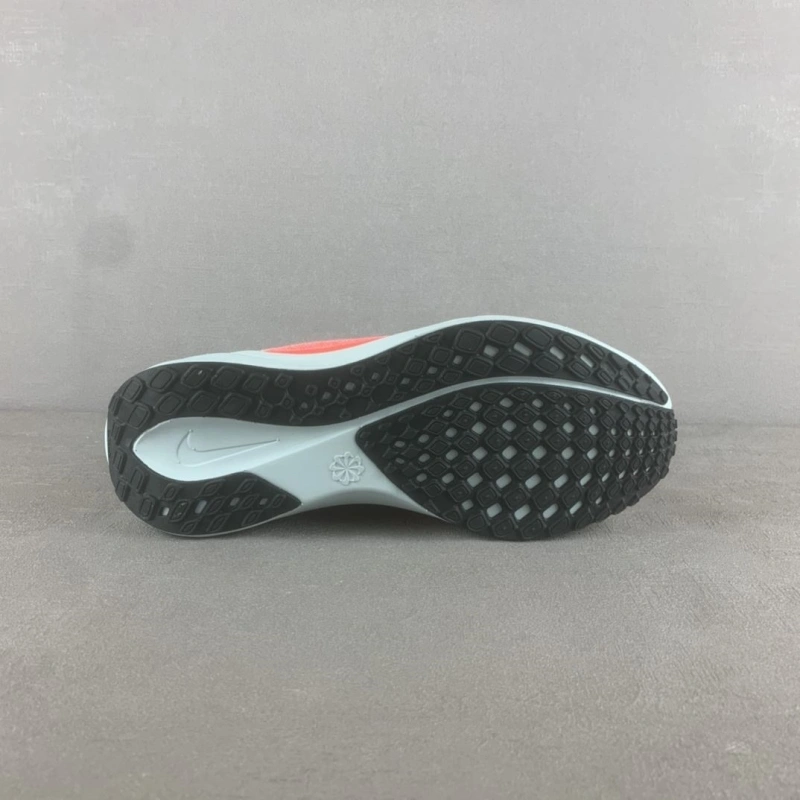 Nxkx Sneakers DailyWear 199826