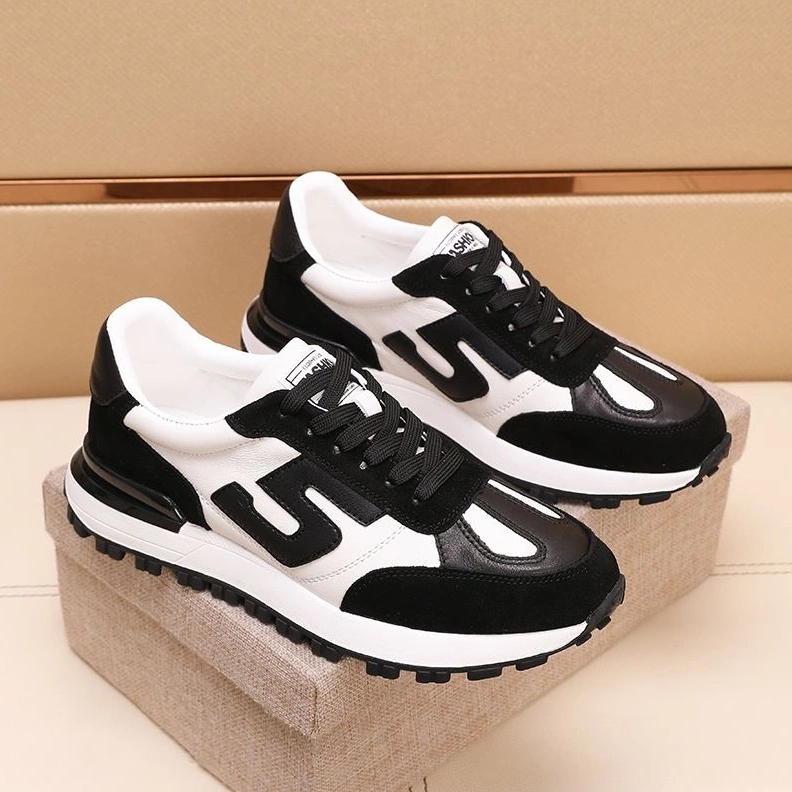 Reliable Gxccx Casual Shoes 156955