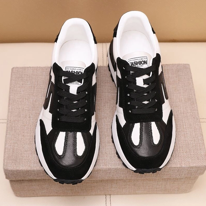 Reliable Gxccx Casual Shoes 156955