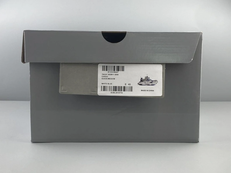 Efficient Bxlxnciaga Casual Shoe 109355