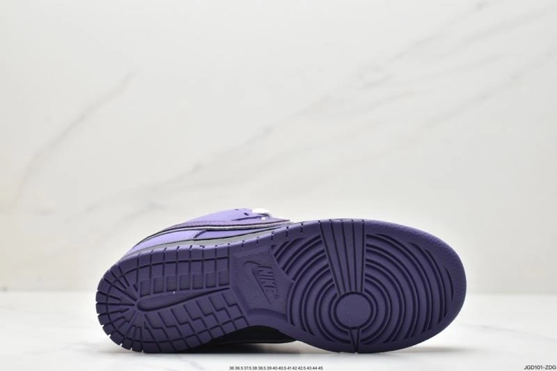 Elegant Nxkx Dunk 203813